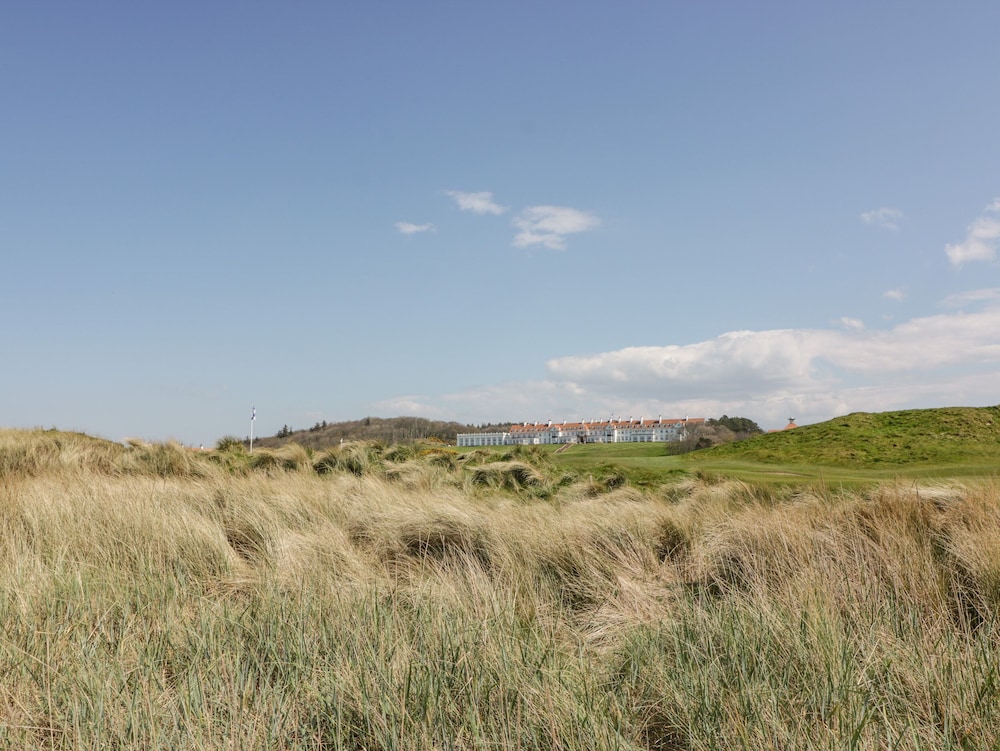 Ailsa Shores