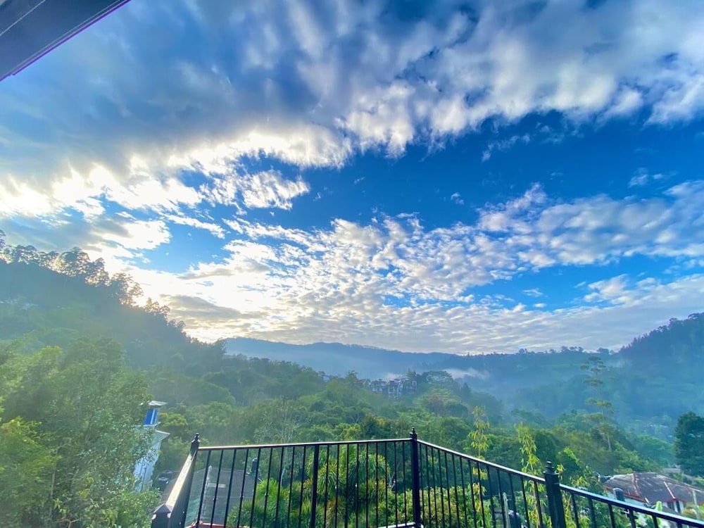 Villa Shungite