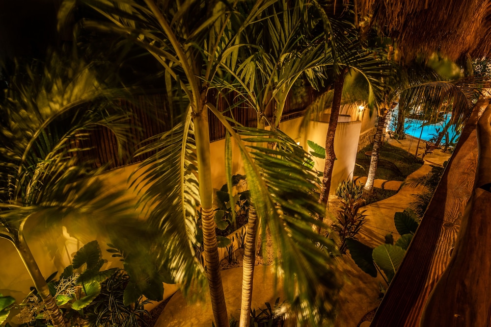 Hotel Boutique TerraNova - Property Image 22