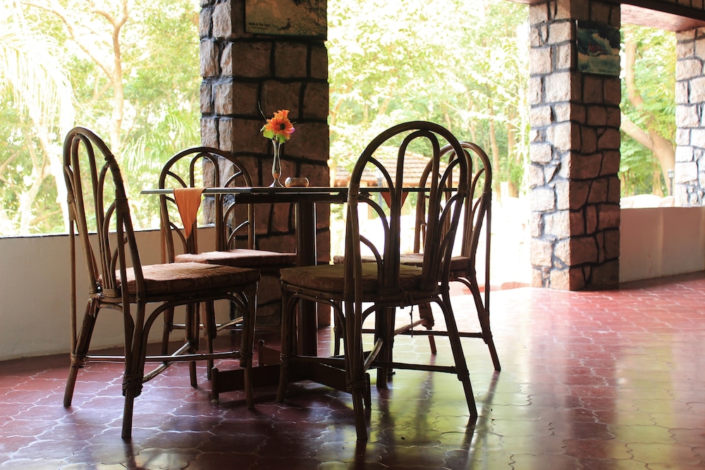Wild Chalet Resort
