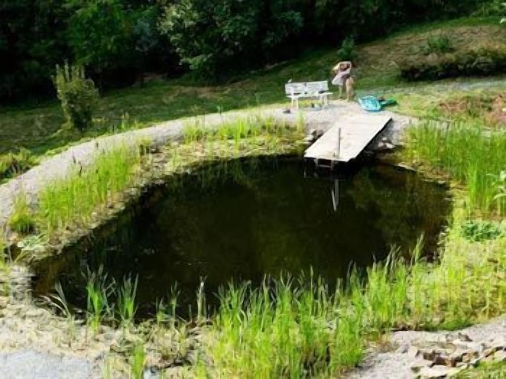 Hotel Garni Belvedere, das BIO Hotel SuiteHotel am Ederse - Property Image 17