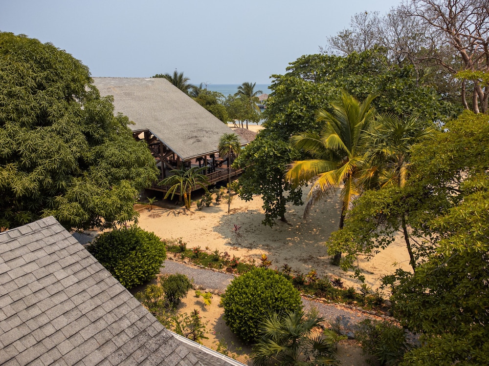 Tropical Breeze