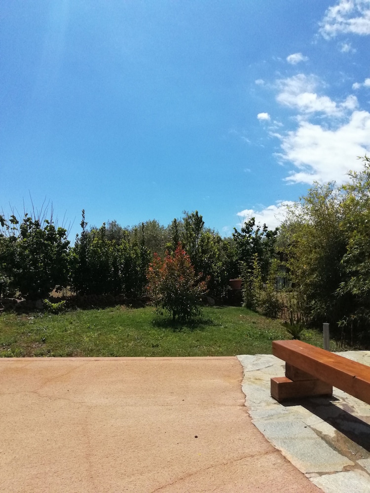 Photo 32