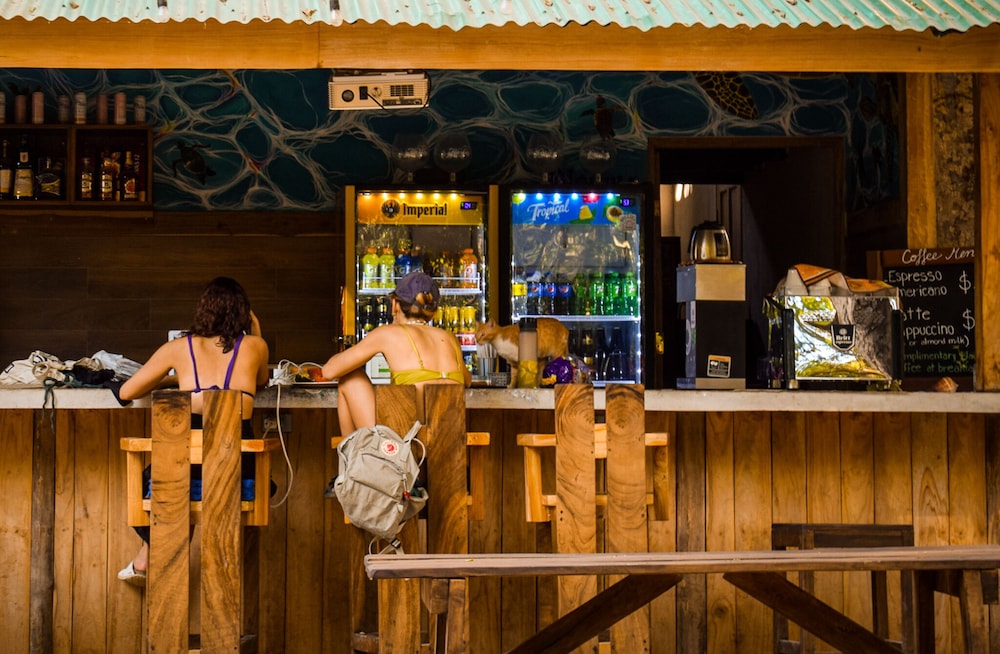 Dreamsea Surf Camp