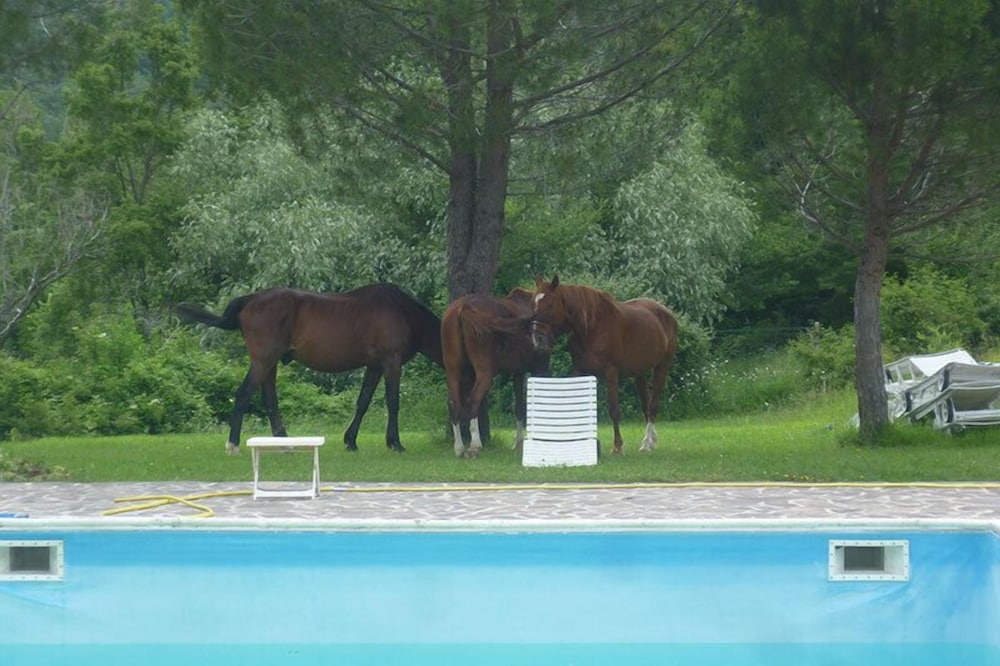 Agriturismo Basaletto