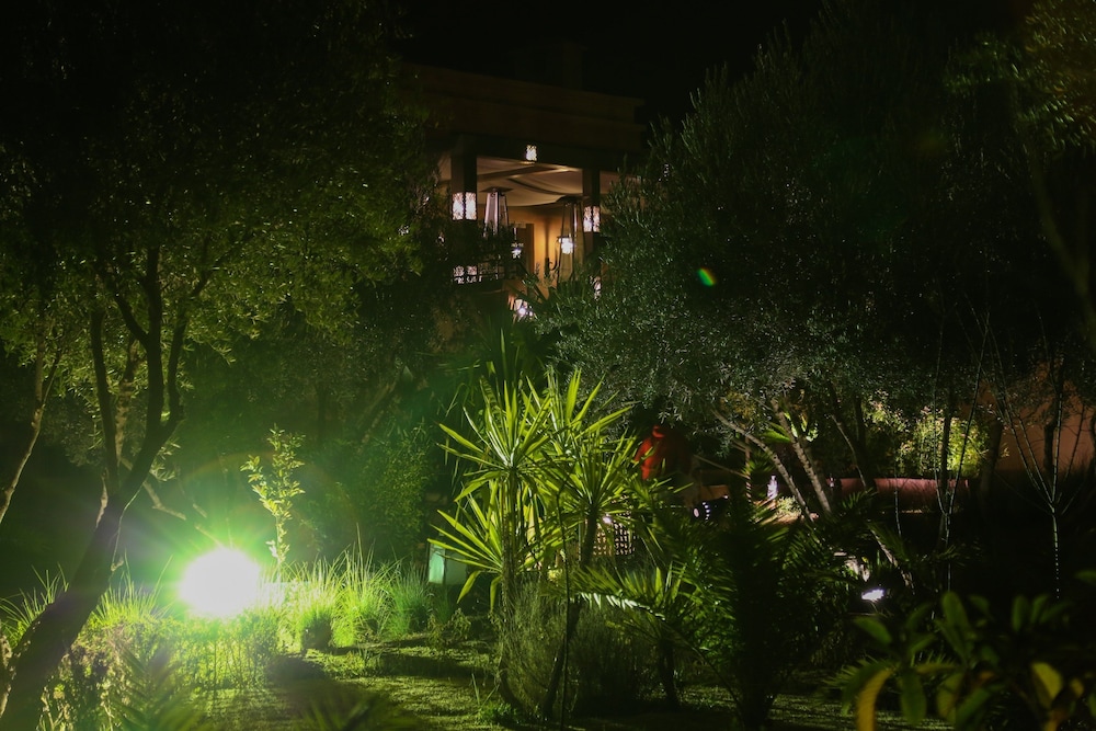 Photo 21