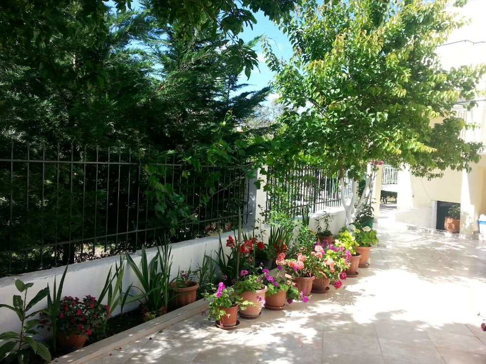 Photo 29