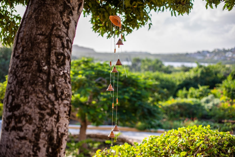 Plantation Jan Thiel Lodge