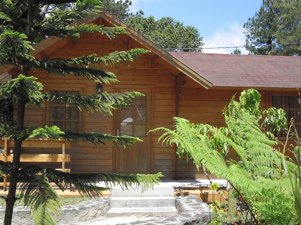 Le Domaine de L’arbre du Voyageur