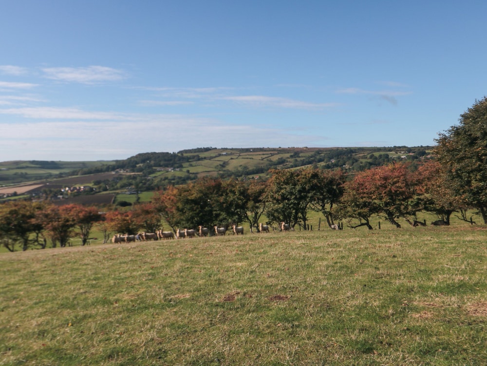 The Shepherd's Rest