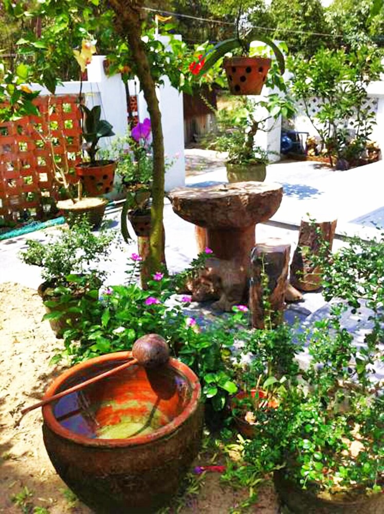 An Bang Morning Glory Beach Homestay
