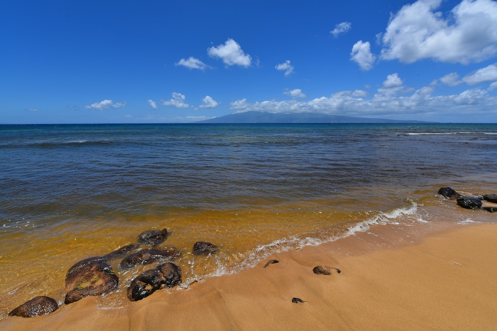 Kaanapali Shores #160 2 Bedroom Condo by RedAwning