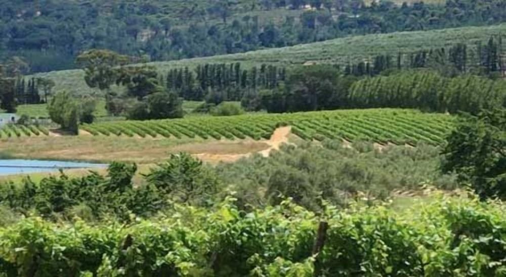 Calais Wine Estate