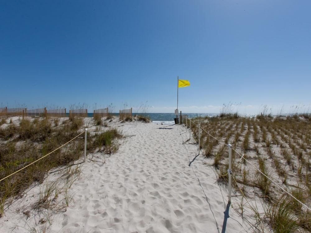 Seacrest 904