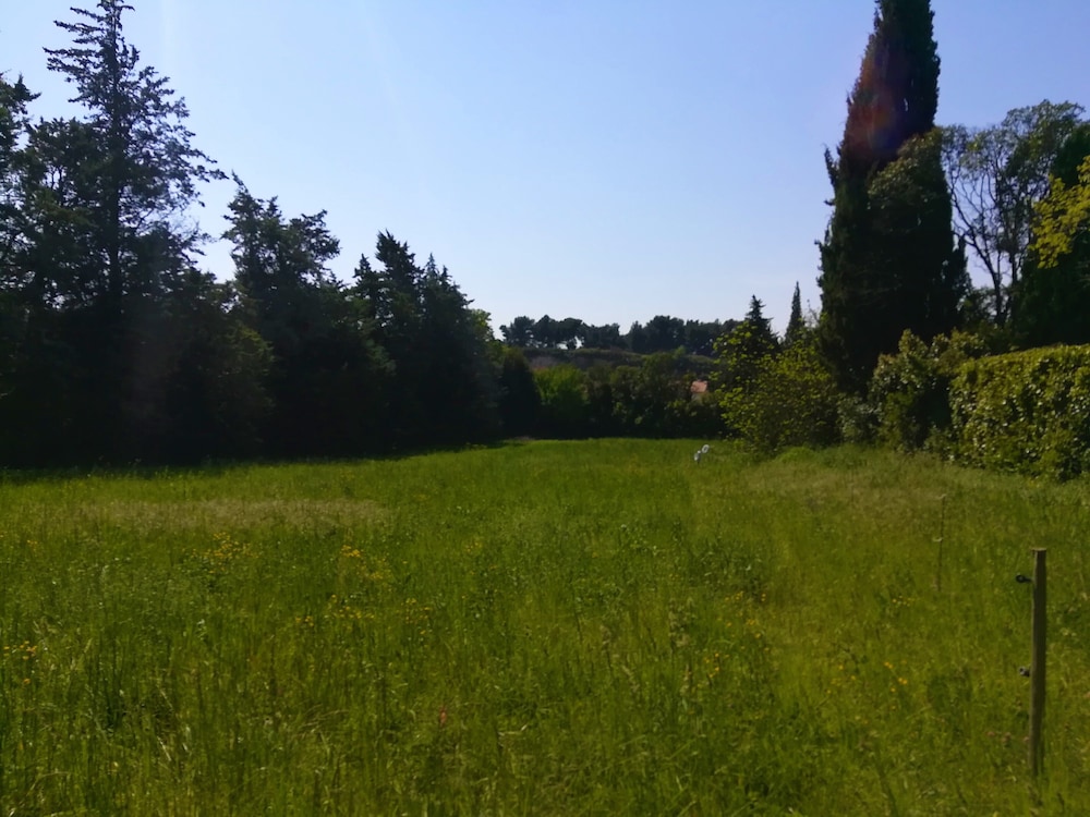 Photo 39