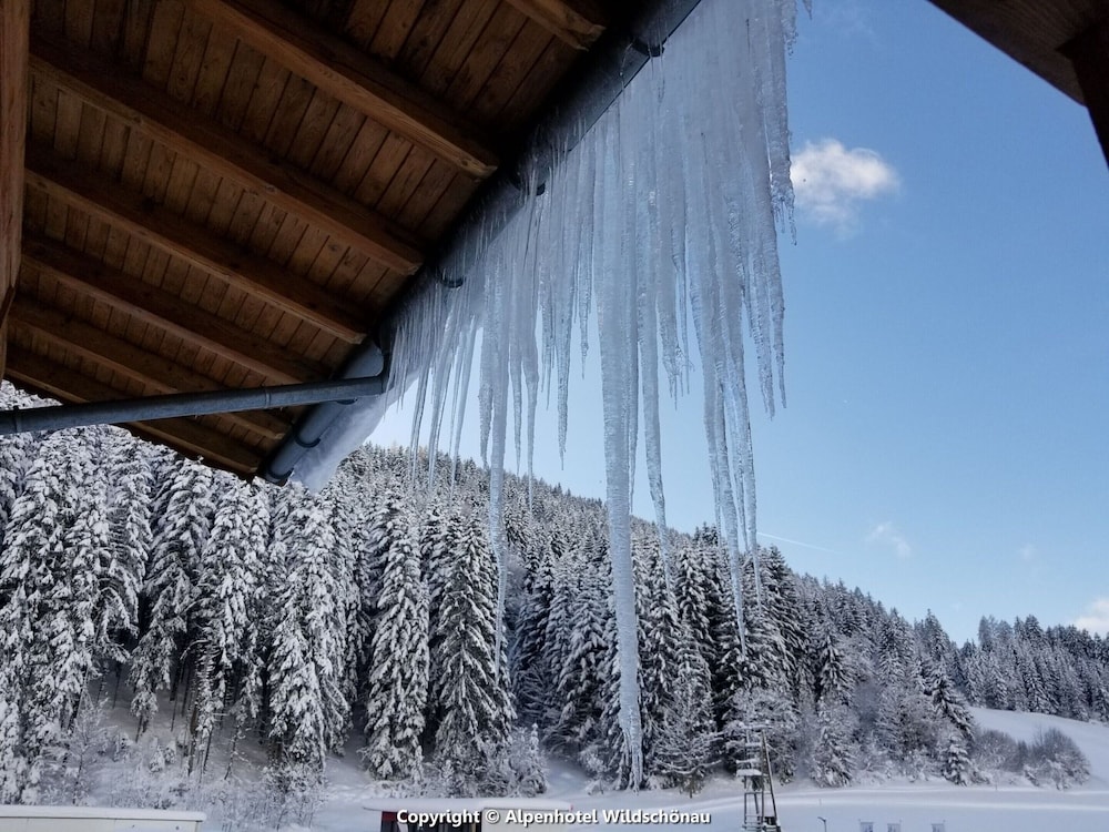 Group Holiday Apartment in Oberau With Pool use
