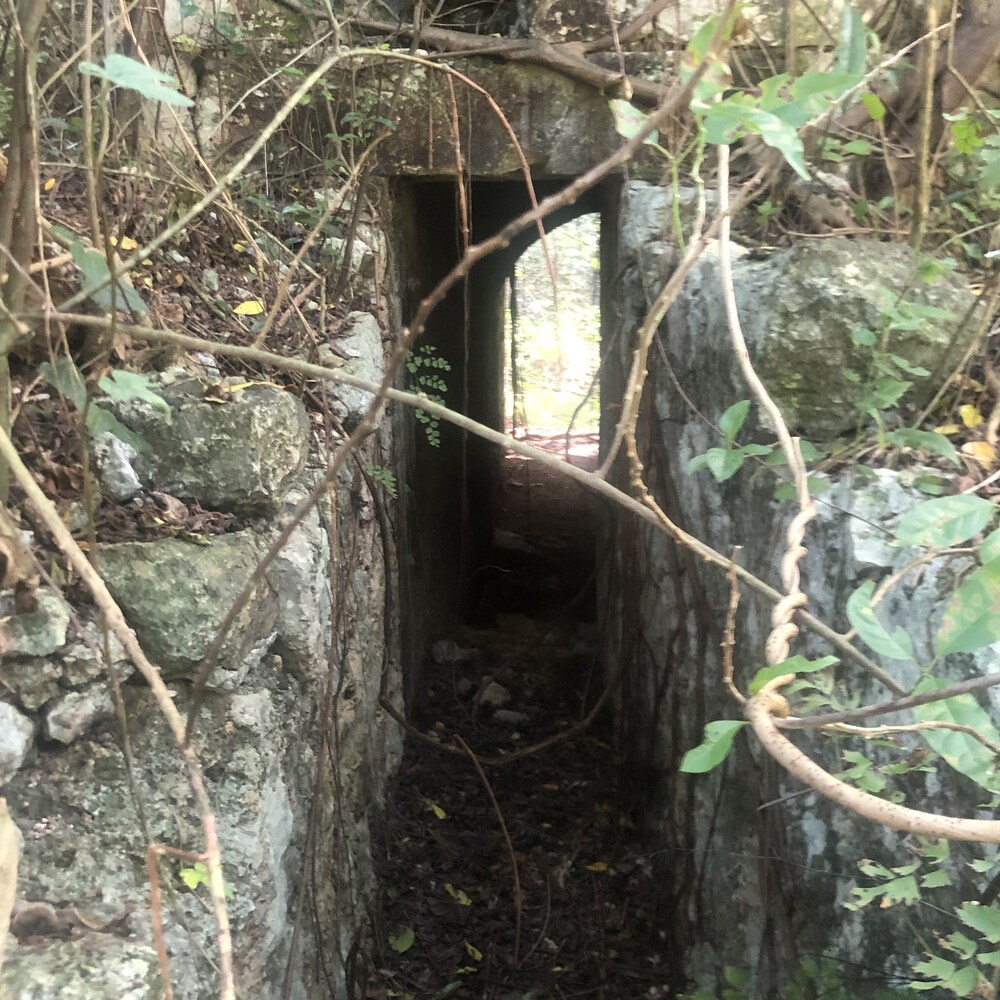 Photo 43