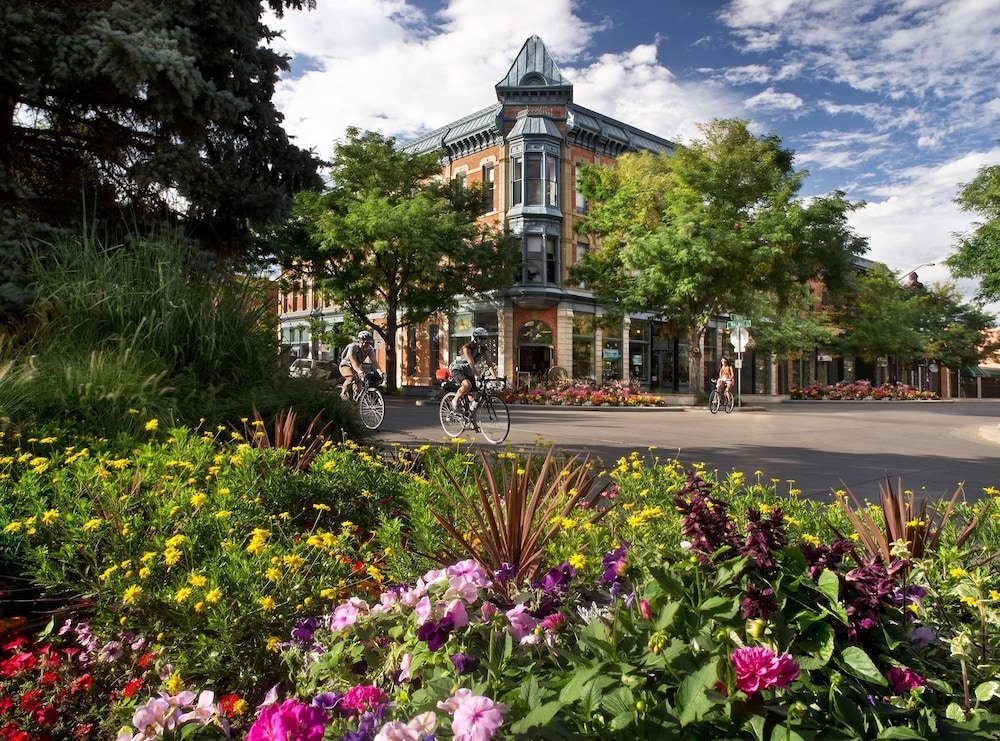 Peaceful Retro Retreat w/Stunning Lake Views!!