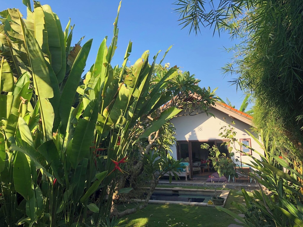 Lush 1 BR Private Pool Villa Inseminyak