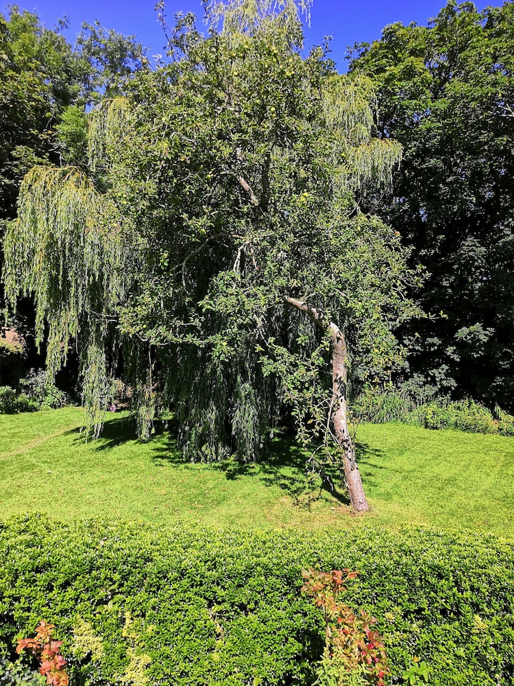 Photo 33