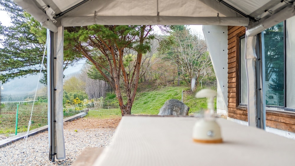 Yeongwol Nature & Pet Retreat