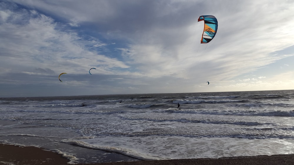 Brevocean