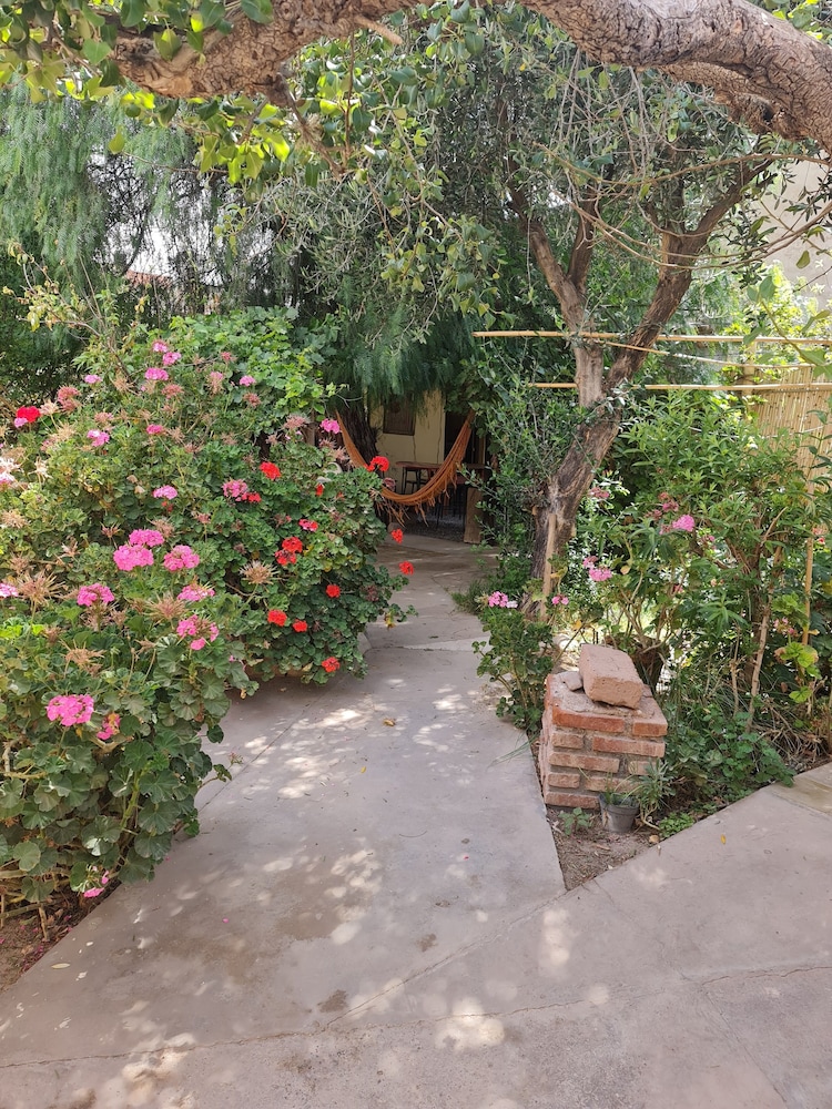 Andino Hostel