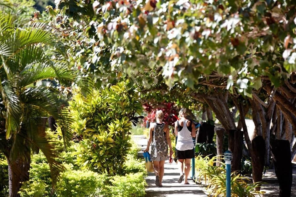 Korovou Eco Lodge