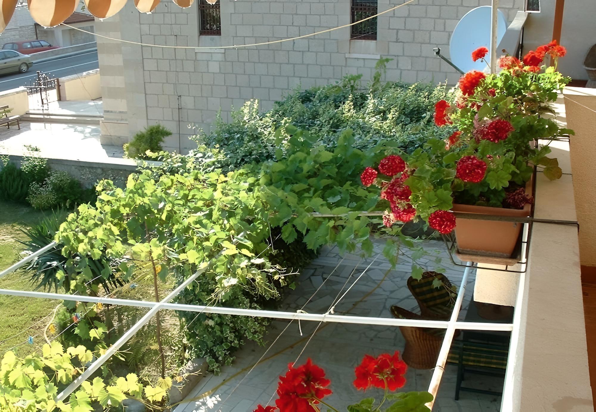 Photo 14