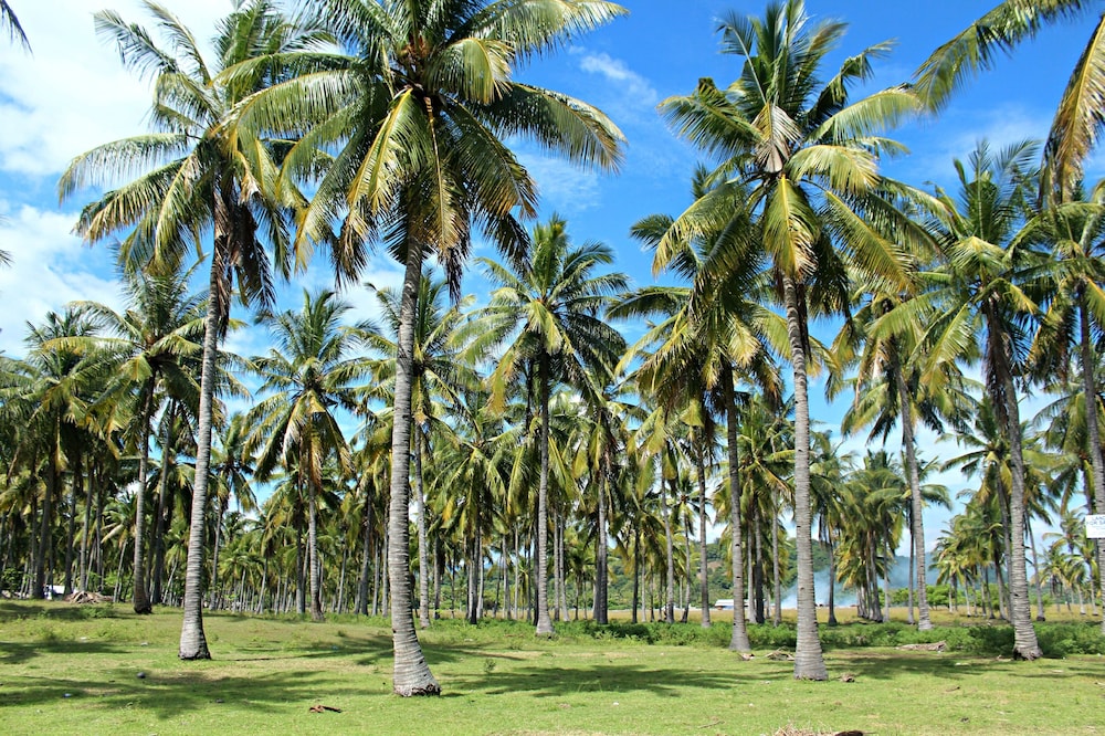 Gili Tenda Resort