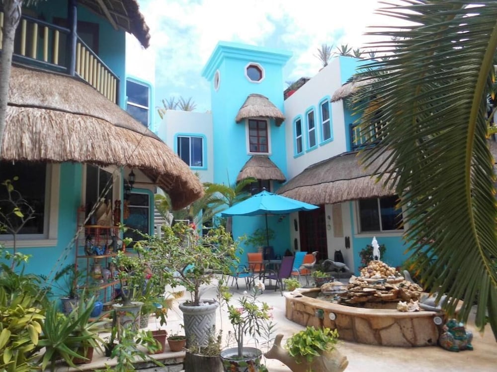 Casa Gatos