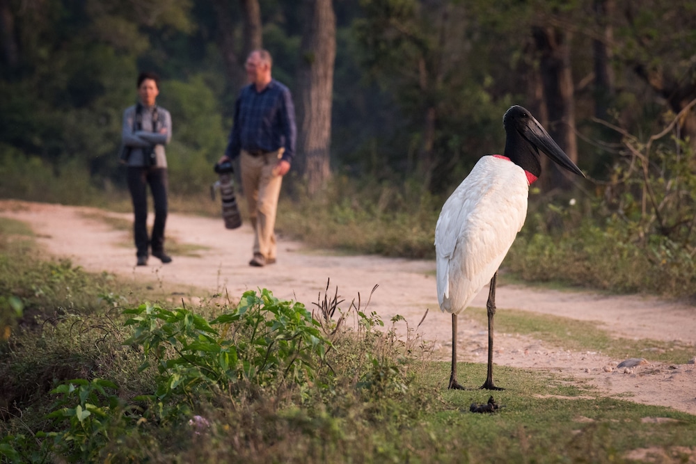 SouthWild Pantanal Lodge