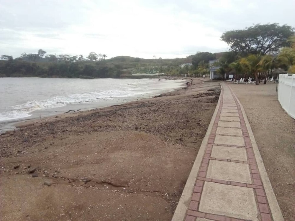 Room in Guest Room - Room in Comfortable Apartment Located on the Beach Very Close to the City