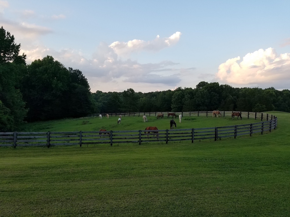 Barren River Lake State Resort Park
