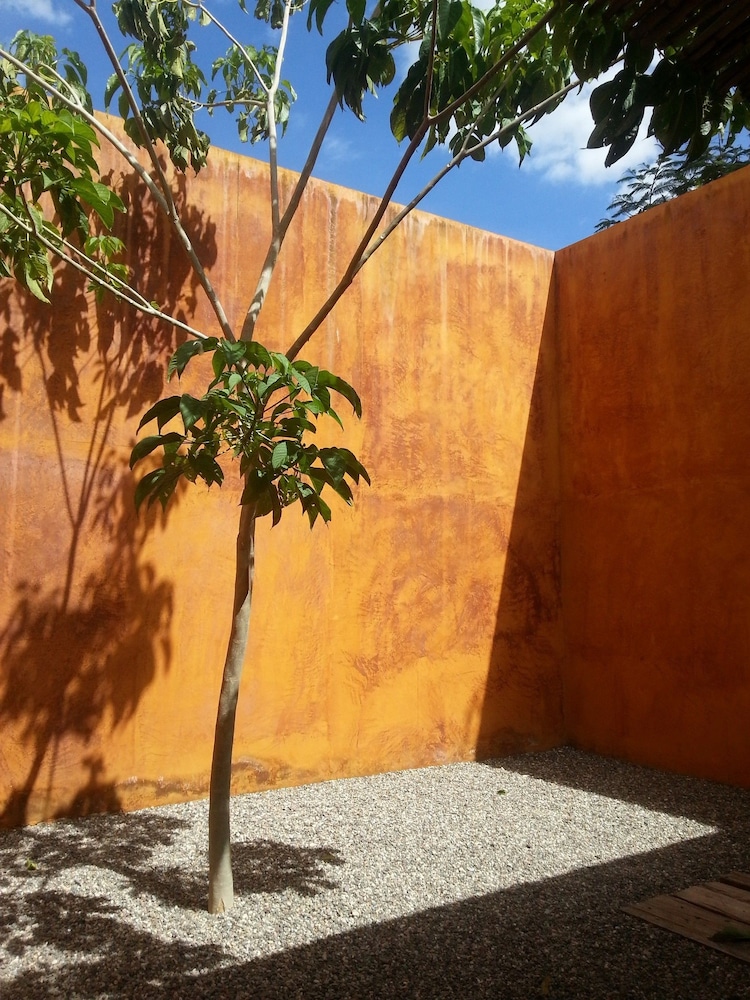 Hotel Cosijo