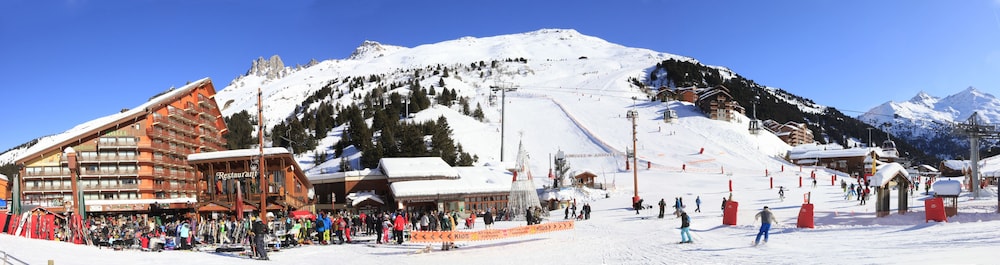 Photo 44