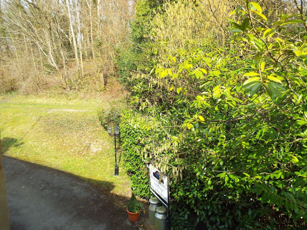 Meadowbrook Cottage B&B
