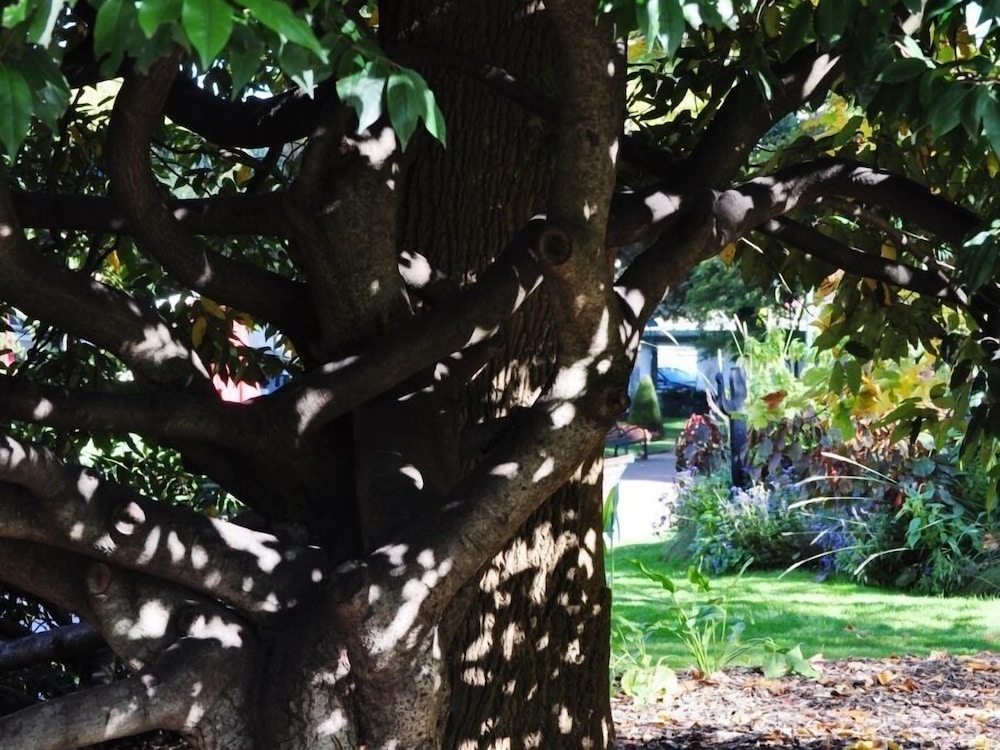 Confidence — photo 35