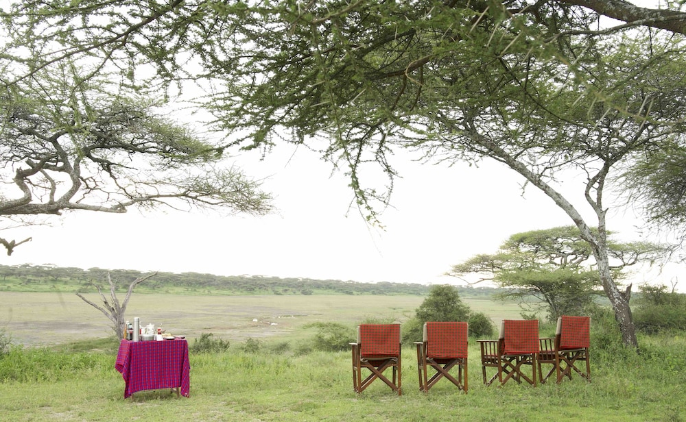 The Royal Migration Camp view 4