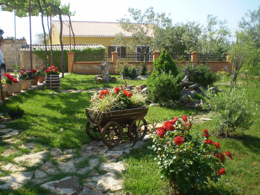 Photo 11