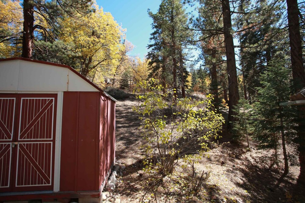 Owl Cabin