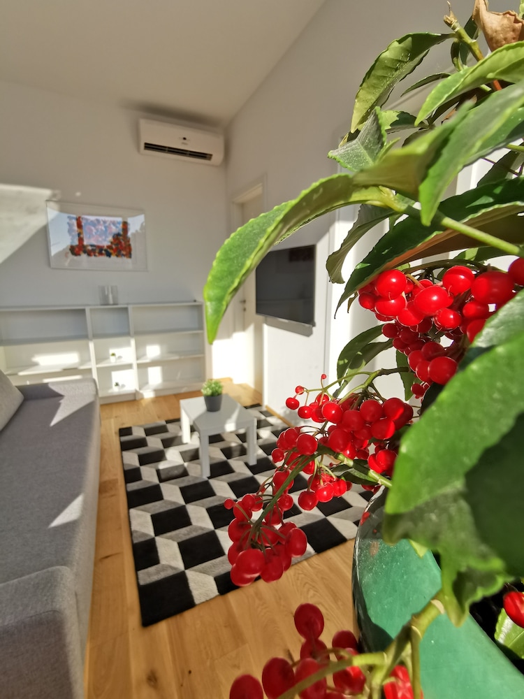 Apartments Egis Koper