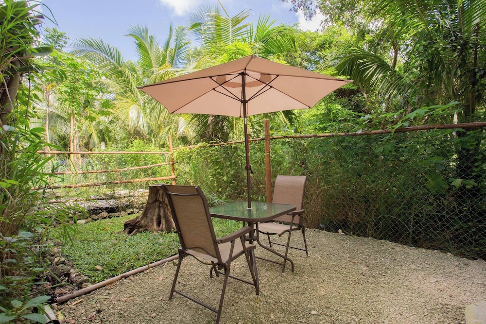 Mini Pini Birdwatching and Cenote Loft4 you Only