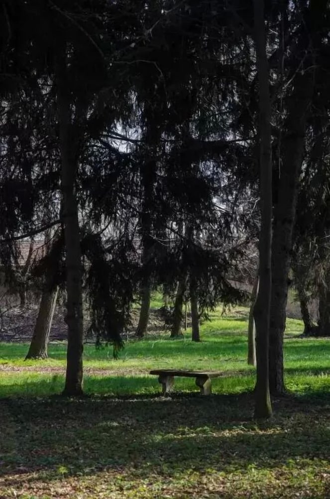 Tenuta il Palazzasso