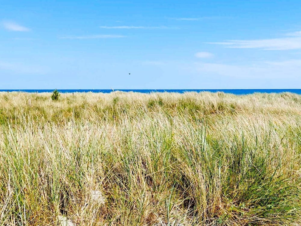 other