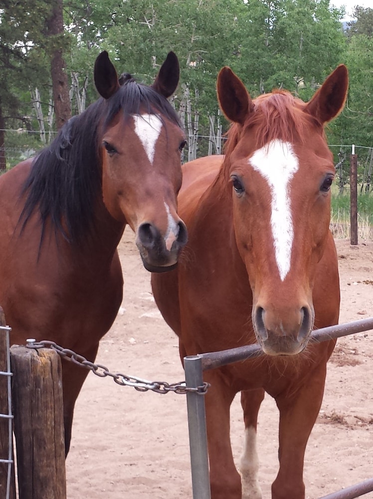 Anchorage Farm B&B