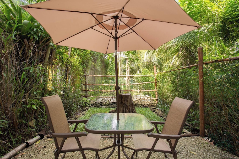 Mini Pini Birdwatching and Cenote Loft4 you Only