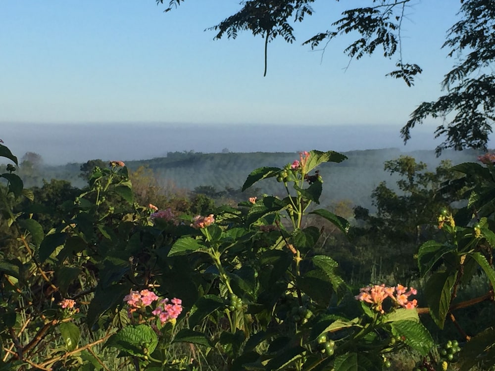 Khaoyai Nature Retreat