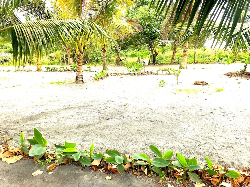 Seaside Garden Lodge Mompiche