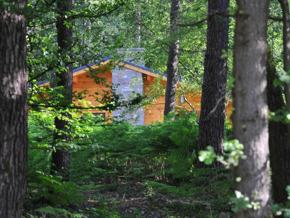 Modern, Wooden Chalet With Wood Burning Stove, in the Forest